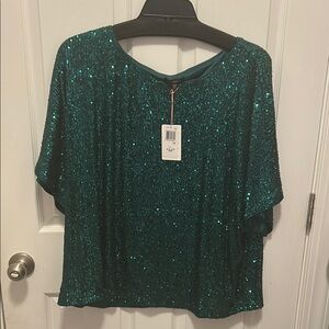 Skies Are Blue Green Sequin Short Sleeve Blouse